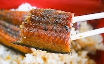 まだ春なのに…！松屋の「うな丼」がもう発売された!?