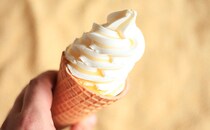 ローソンの人気コラボ再び！アイスで味わうパブロが最高すぎる！