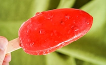 このあざやかな新商品アイスがジューシーすぎて感動！！