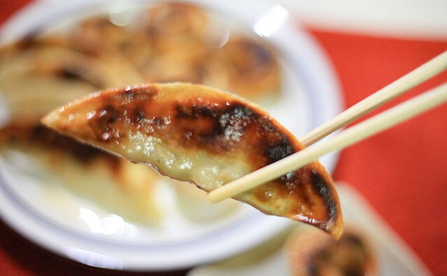 537円で大容量!カルディの冷凍餃子が手軽でうまい!!