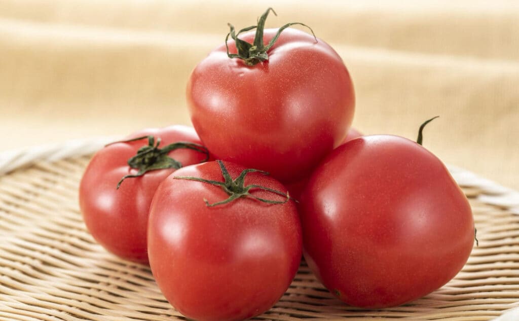 トマトの食べ過ぎはなぜNG？身体に与える影響と1日あたりの目安量