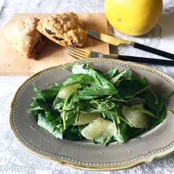 野菜の王様「モロヘイヤ」の栄養がすごい！おひたし以外でもおいしく味わおう！