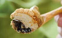 「めちゃくちゃおいしい」「幸せ」セブンの新スイーツが話題に