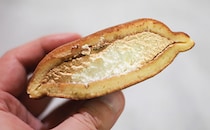 「超うまい」「好きな味」ローソン人気スイーツの新作がおいしいらしい！