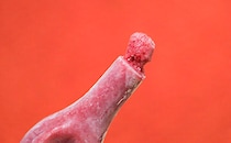 「これヤバいやつ」「うますぎる」このパピコ、絶対食べて！！