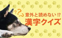 これ読める？【悴む】なると困っちゃうアレです