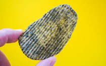 公式アカウントが「好き嫌いが分かれる」と言っちゃうポテトチップスが発売に