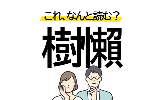 あの激かわ動物を漢字にすると「樹懶」読めたら天才かも!