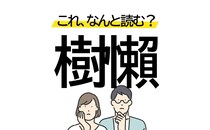 あの激かわ動物を漢字にすると「樹懶」読めたら天才かも！