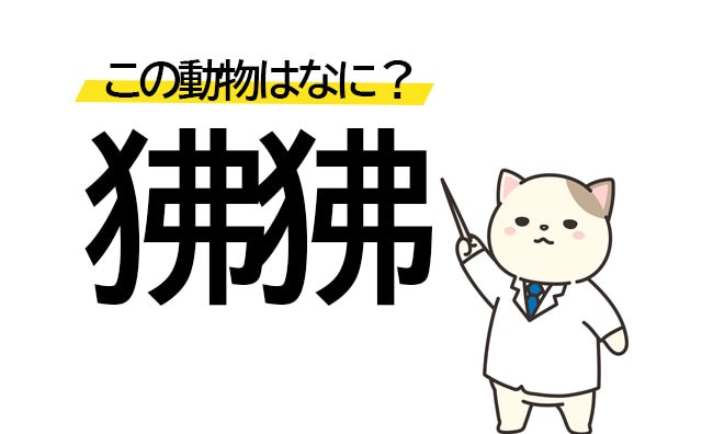 ふつふつ？「狒狒」この漢字の動物は何？