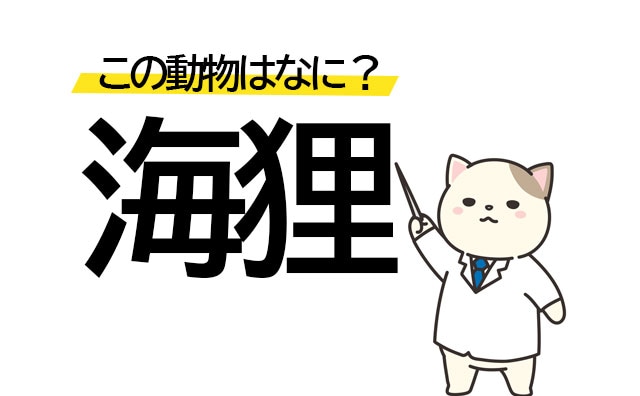 海にいるタヌキ?「海狸」はなんていう動物?