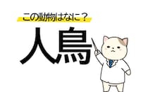 人の姿をした鳥!? 「人鳥」はどんな動物？