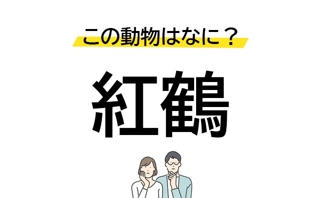 落ち着いて考えたら正解できるかも!「紅鶴」はなんという動物を漢字にしたもの?