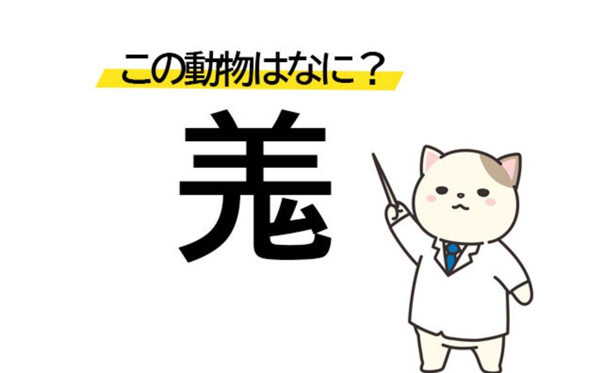 可愛いけど大迷惑…「羗」この漢字の動物は何？