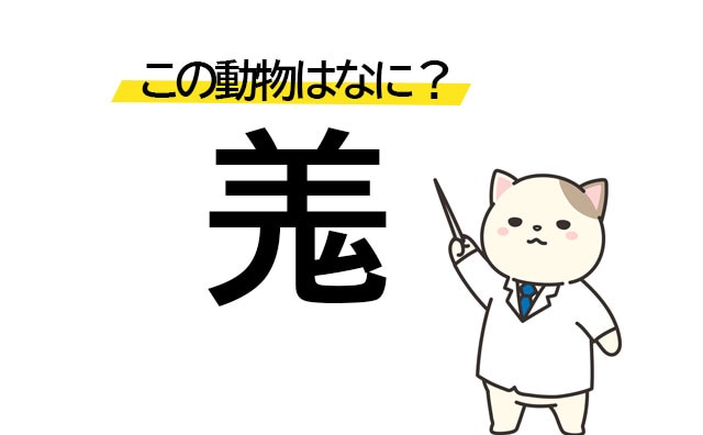 可愛いけど大迷惑…「羗」この漢字の動物は何？