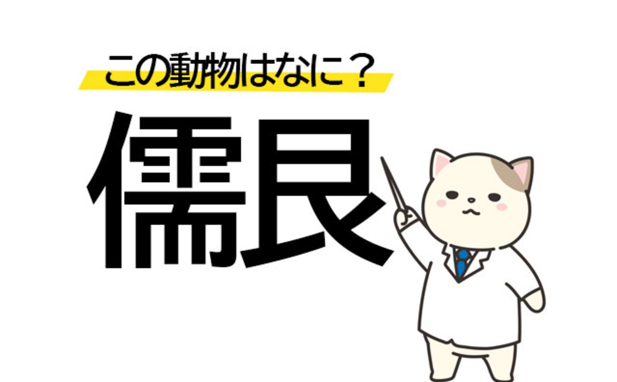 ギリ読める!? 「儒艮」はなんていう動物かわかる？