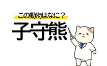 みんな大好き！「子守熊」はどんな動物？正解は…