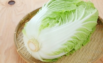 鍋やスープ以外にもある！白菜のお手軽レシピ5選