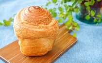 もう全部食べた？セブンの気になる新作スイーツ3選