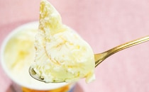 マジで濃厚…！ハーゲンダッツの新作はチーズタルト！！