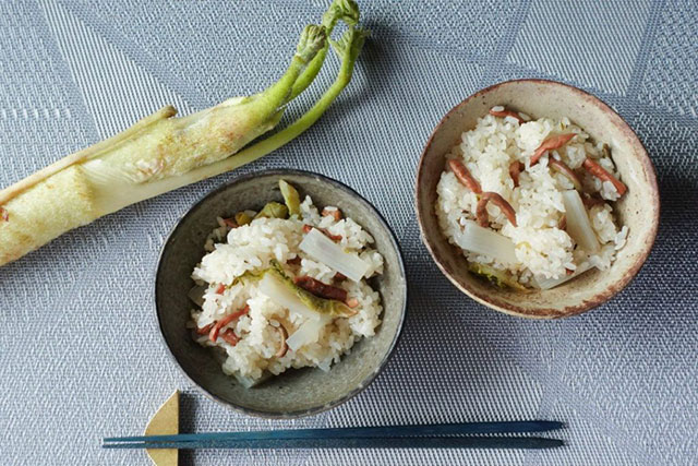 おいしい春、みつけた！旬の食材で春の炊き込みごはん【レシピまとめ】