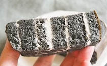 「ずっと食べてる」「疲れた時にピッタリ」ウマ娘コラボの“黒いヤツ”が話題です！