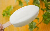 まとめ買い決定！超有名商品のアイス版がうますぎた！