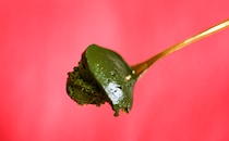 「とんでもなく抹茶」「おいしすぎる」抹茶好きにおすすめのローソンスイーツとは？