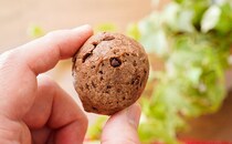 「毎日食べてる」「衝撃的なうまさ」セブン『ぷちもちチョコ』が今年も発売に