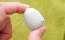 「100点」「めっちゃうまい」セブンで買える限定たまごとは？