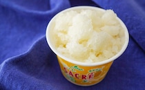 【数量限定】今年も大人気「サクレ」が発売に