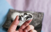 2時間放置で本格大福！黒ごま好きは要チェックです！