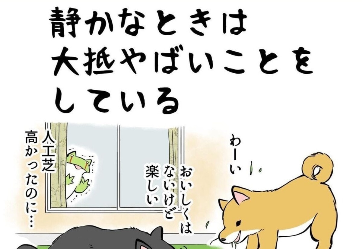 ああ、わかる。子犬と子どものいたずら共通点｜犬との暮らしと育児#後編