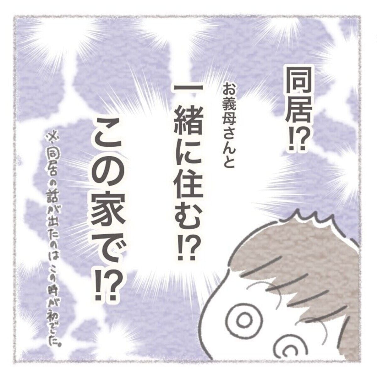 義母との同居、気になることが3つある『お義母さんとの同居について考えた話』