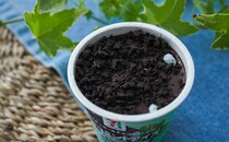 「うますぎる」「もっと食べたい」セブンの真っ黒アイスが最高