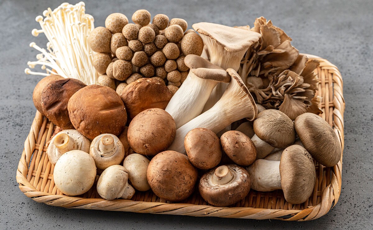 忙しくてもサッと作れる！「きのこ」が主役の4つの簡単レシピ