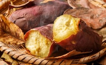 秋の味覚「さつまいも」で！ほっこり甘～いスイーツレシピ3選