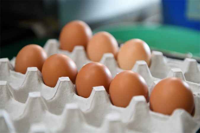 【卵のギモン】「卵は冷蔵保存」が常識でしょ!? では、なぜスーパーでは常温販売なの？【養鶏農家が回答】