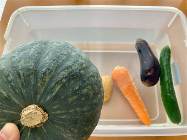 【野菜クイズ】かぼちゃを水に入れると…「浮く」「沈む」どっち？野菜の浮き沈みには実は法則がありました