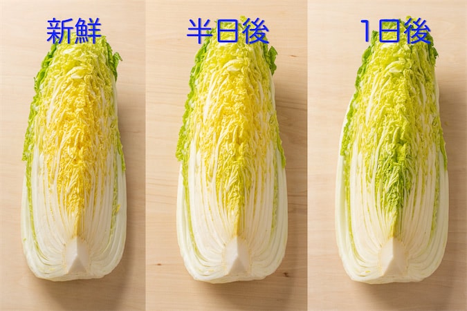 【青髪のテツ】カット白菜の見分け方「断面の葉が緑色なのは…じつは新鮮じゃないんです！」え、そうなの!?