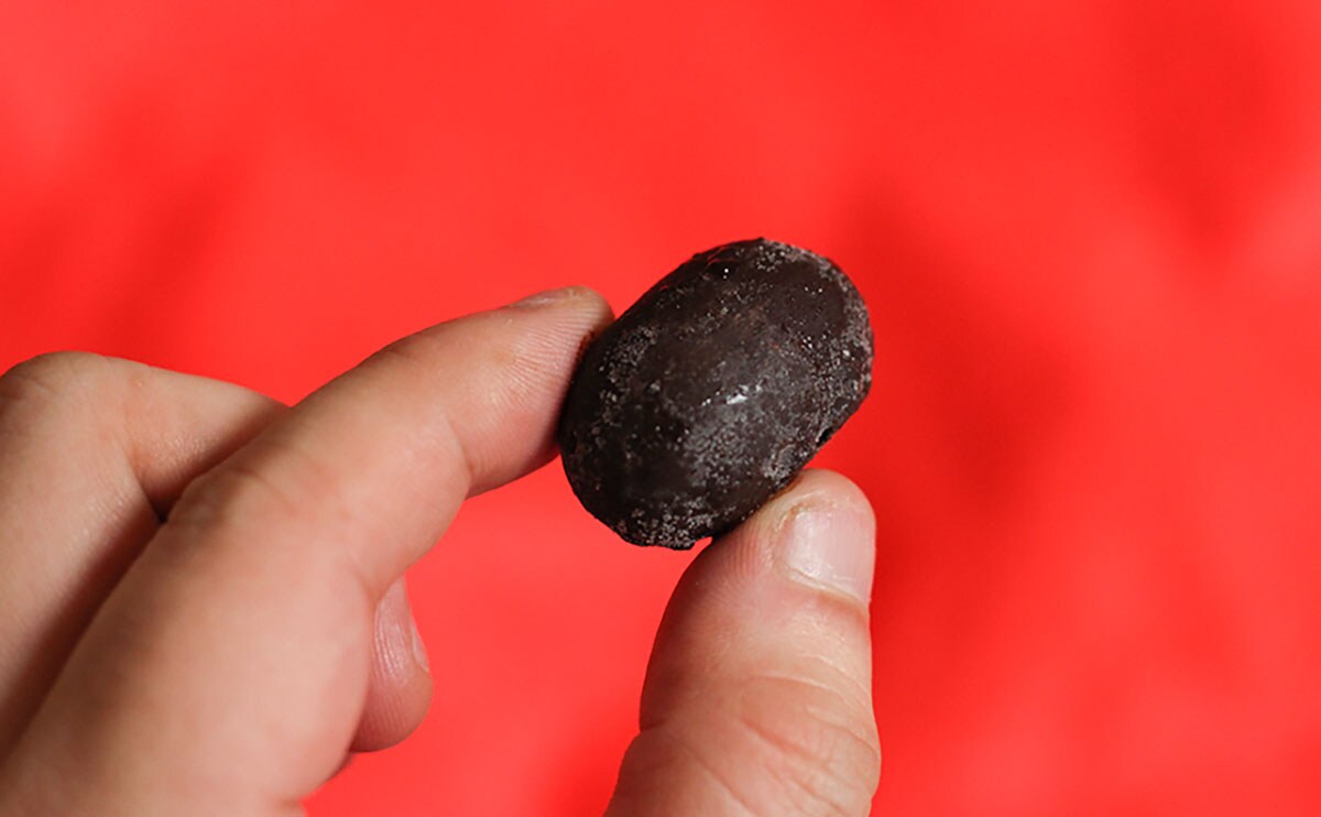 【1/17発売】ひんやりジューシーな“黒い粒”の正体は？