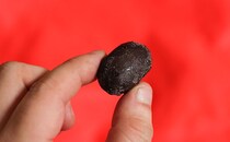 【1/17発売】ひんやりジューシーな“黒い粒”の正体は？