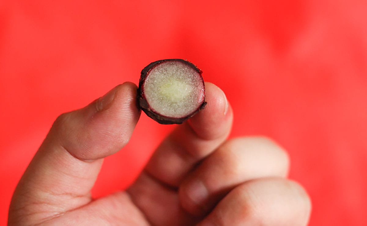 【1/17発売】ひんやりジューシーな“黒い粒”の正体は？