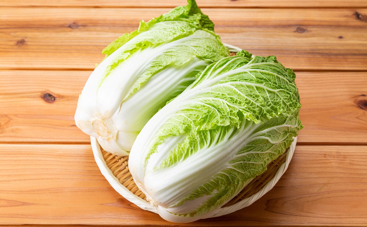 大量消費にも!冬の旬野菜「白菜」を丸ごと味わうレシピ3選
