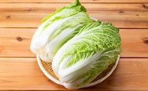 大量消費にも！冬の旬野菜「白菜」を丸ごと味わうレシピ3選