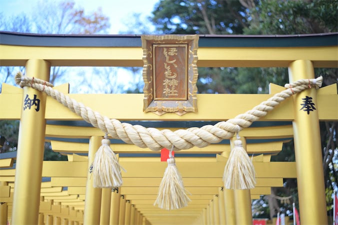 【驚パワースポット】“ほしいもの”が手に入る!?干し芋産地の新宮「ほしいも神社」で開運願ってみた♪