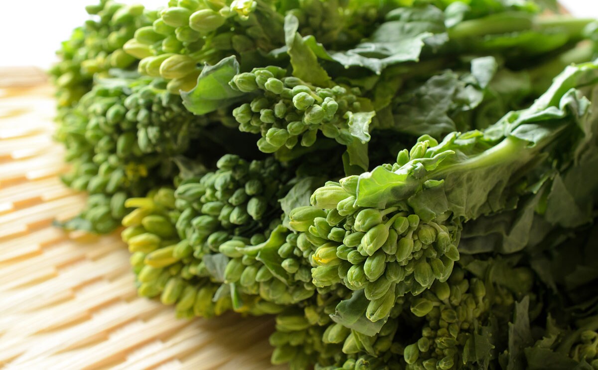 おひたしからパスタまで!「菜の花」を味わいつくす簡単レシピ3選