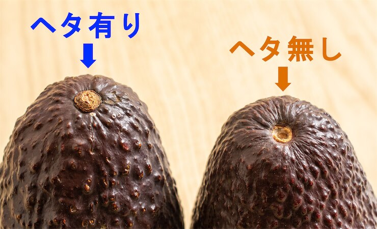 【野菜クイズ】「アボカドは”ヘタ有り”と”ヘタ無し”どっちが美味？」え、熟し具合が一目瞭然!?【青髪のテツ】