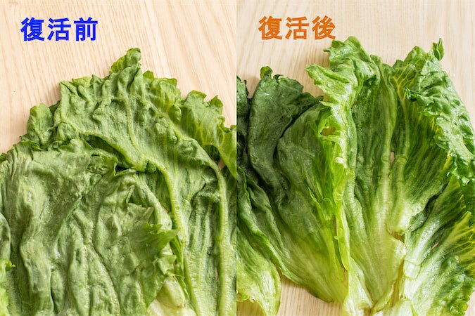 【青髪のテツ】「野菜室で放置のレタスがシワシワ…ならば復活の呪文を」お湯＆冷水でシャキーン!?