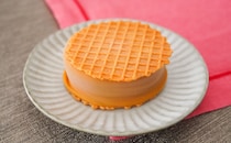 「びっくりするうまさ」「新作出てる！」注目のコンビニ限定アイス